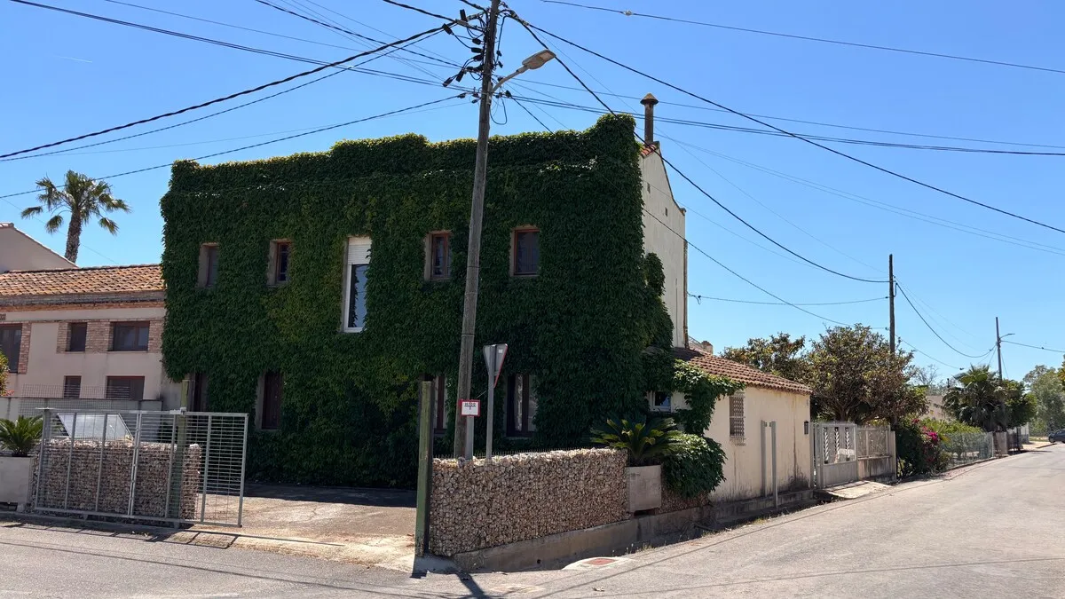 Fachada de Can Celestino cubierta de hiedra, vista desde la esquina de la calle