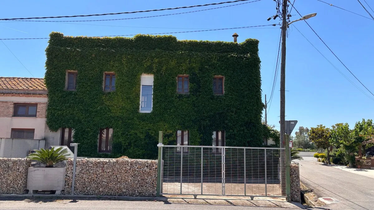 Fachada principal de la casa cubierta de hiedra en verano